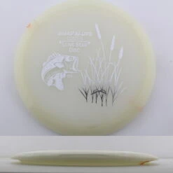 Bravo Glow Guadalupe 26 Bravo Glow Guadalupe -Disc Gear Shop 20231031100203