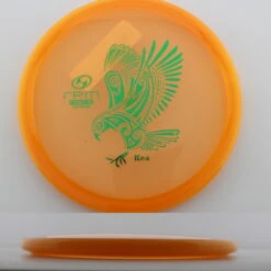 Cosmic Kea -Disc Gear Shop 20240806152905