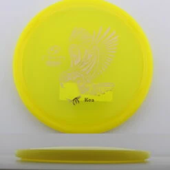 Cosmic Kea -Disc Gear Shop 20240806152929