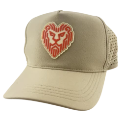 Big Jerm Lionheart Hat – Diameter Apparel – Jeremy Koling