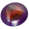 Champion I Dye Shryke -Disc Gear Shop incdyeshryke