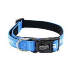 MVP Dog Collar -Disc Gear Shop news november 2018 mvp pet collars blue 550x550 1