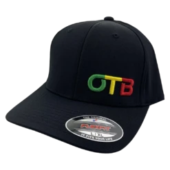 Flexfit Curved Bill Hat